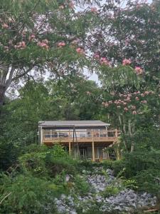 Lakefront on Lake Mitchell!