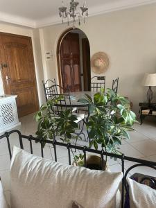 Appartement OCEAN VIEW