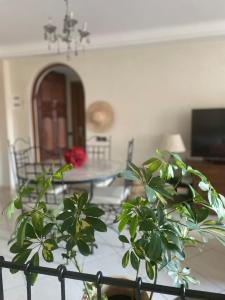 Appartement OCEAN VIEW