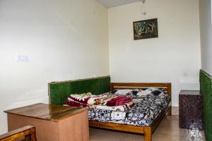 Double Snow View Valley Villa