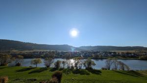 ZoHe Alpha Apartment mit Moselblick
