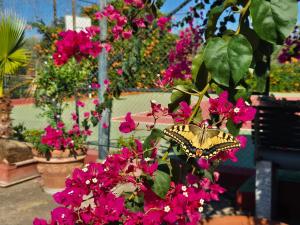 Bari Sardo Le More Suite 1 img17