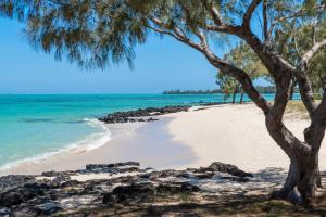 Coastal Road, Trou dʼ Eau Douce, Mauritius.