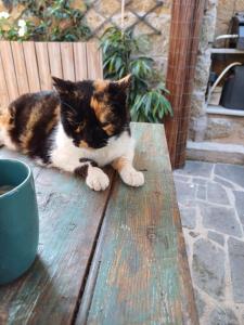 Casaluna, chambre climatisée dans maison de village