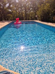logement entier en pleine nature avec jardin terrasse tennis pétanque piscine