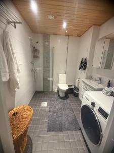 A stylish Apartment in Helsinki