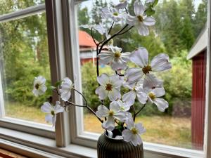 House near forest and water