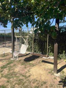 Pokito House on the Hill