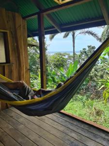 Live the Jungle - Rustic Refuge