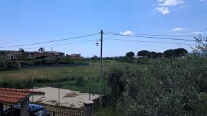 Puccios Little House