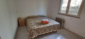 Puccios Little House