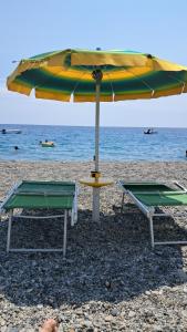 Puccios Little House