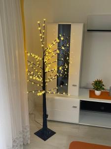 Apartman Delux Gogica