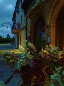 Accommodation in Maser