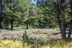 0119-Romo-Smafolksvej-43