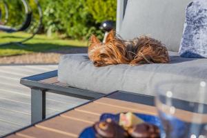 Loch View - Loch Lochy