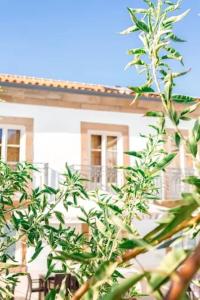 Quintal do Grémio - Casa