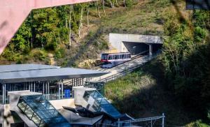 Cosy European Instituts