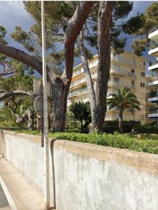 3-room apartment with sea view in Cannes