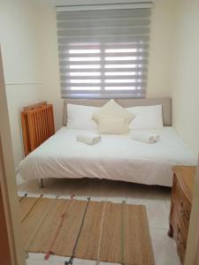 Under the Stars of the Golan