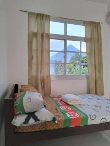 RDV 621 Guesthouse Purok 1 Barangay 49 Tanawan Street Bigaa Legazpi City