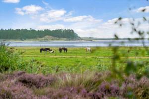 0262-Romo-Lyngvejen-67