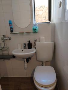 Garden living room, cozy studio