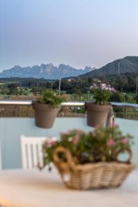 Montserrat Apartment