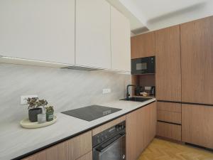 Stephansdome Luxury Grand Apartment