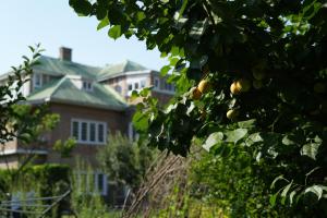 SaffronStays Awakening - 5BR heritage villa with Kashmiri art, nature walks & authentic cuisine near River Jhelum, Srinagar