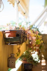 Sa Mama e Su Sole img43