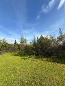 Galdur Cottage- heart of Golden Circle with hot tub & sauna