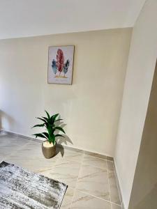 مدينتي - القاهره الجديده