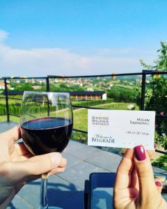 Belgrade on water view apartment - City center