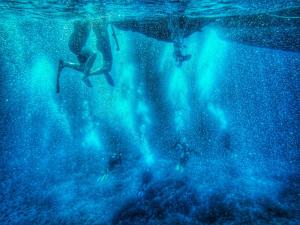 Dino Domus apartment img23