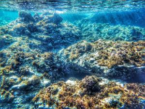 Dino Domus apartment img24