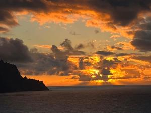 Estudios kylie y Evelyn