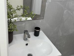 Modern City Apartment