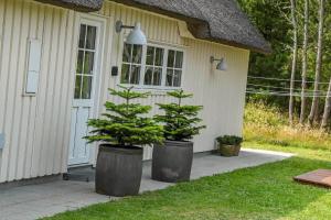 BV351-Blavand-Contortavej-3