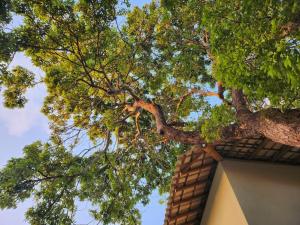 Apartamento Canto da Jandaia