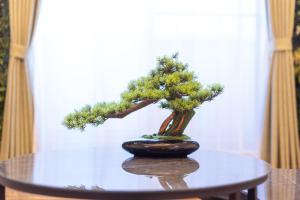 7min walk sta 3 min to Shibuya 7Bed 3Room