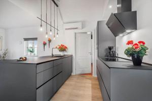 BV205-Blavand-Horns-Bjerge-3-72