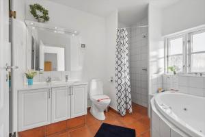 BV205-Blavand-Horns-Bjerge-3-72