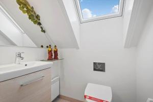 BV205-Blavand-Horns-Bjerge-3-72