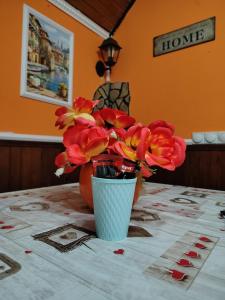 Smestaj Bojanine Vode