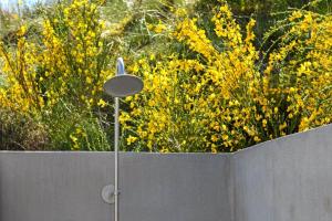 BV412-Blavand-Tane-Hedevej-14