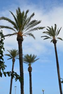 Apartamento Flavia I Espalter