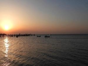 Secluded Cottage Retreat at Ordrup Naes-By Traum