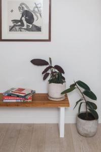 Northside Grove - A Leafy City Fringe Escape