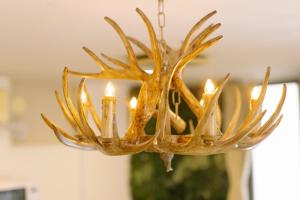 8min walk from Shibuya Sta Universal design